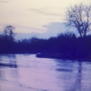 Meet your Posher, Wayne